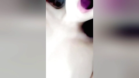 Incredible Adult Movie Vertical Video Great Ever Seen